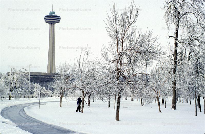 Skylon Tower, Bare Trees, Winter, Cold, Ice, Snow, City of Niagara Falls