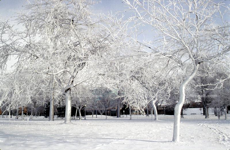Winter, Cold, Ice, Snow, City of Niagara Falls