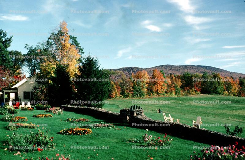 stone fence, lawn, trees, flowers, Fall Colors, tree, woodlands, autumn