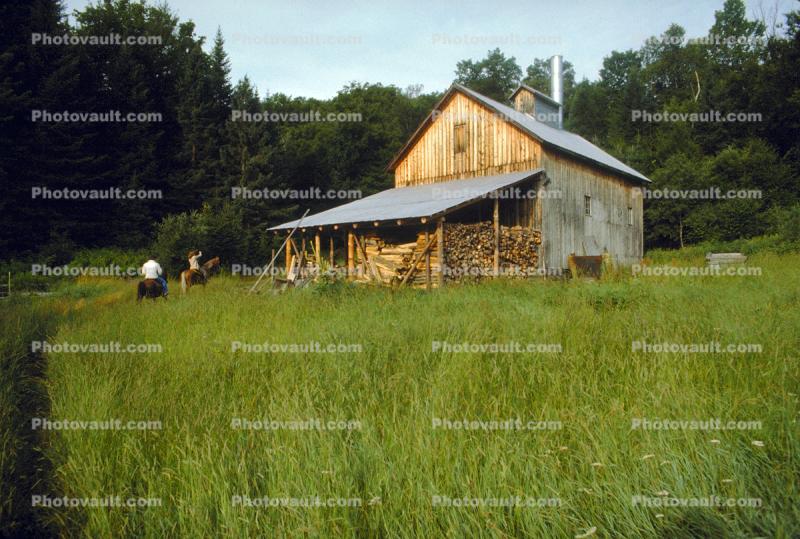Wood Shed in East Burke, Vermont