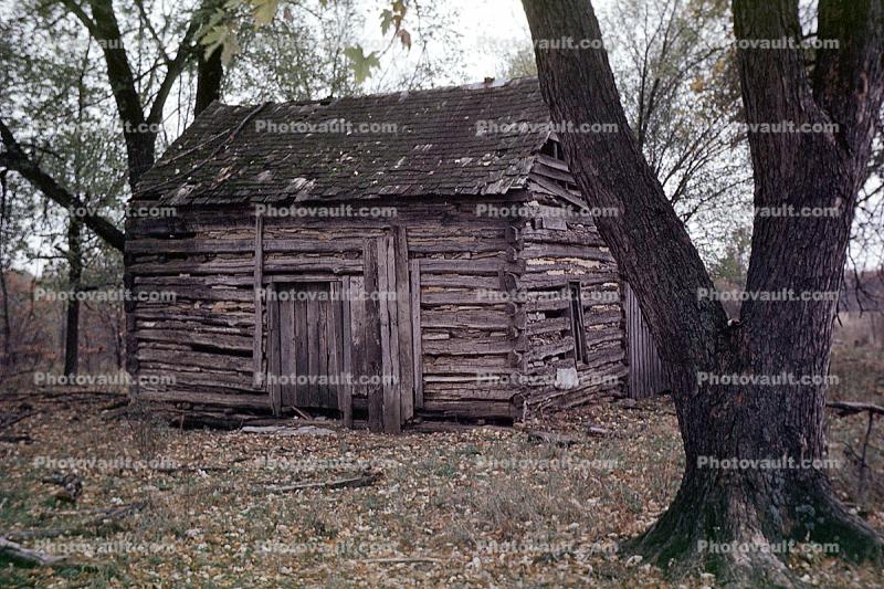 Log Cabin, Cape Cod, Massachusetts, 1950s