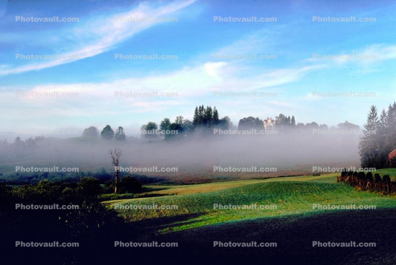 Foggy Morning, Burklyn Hall, Early Morning, Summer