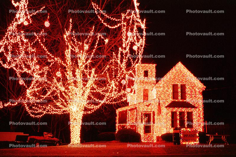 Decorated Home, Trees, Lights, Nighttime, Plaistow, New Hampshire