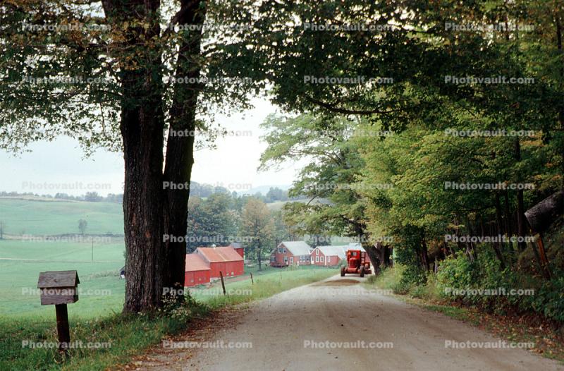 Old Country Road, Tree-Lined Road, Mailbox, New Hampshire