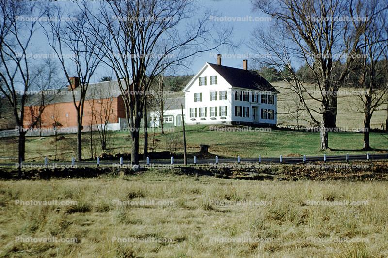 Home, house, barn, fields, trees, 1950s