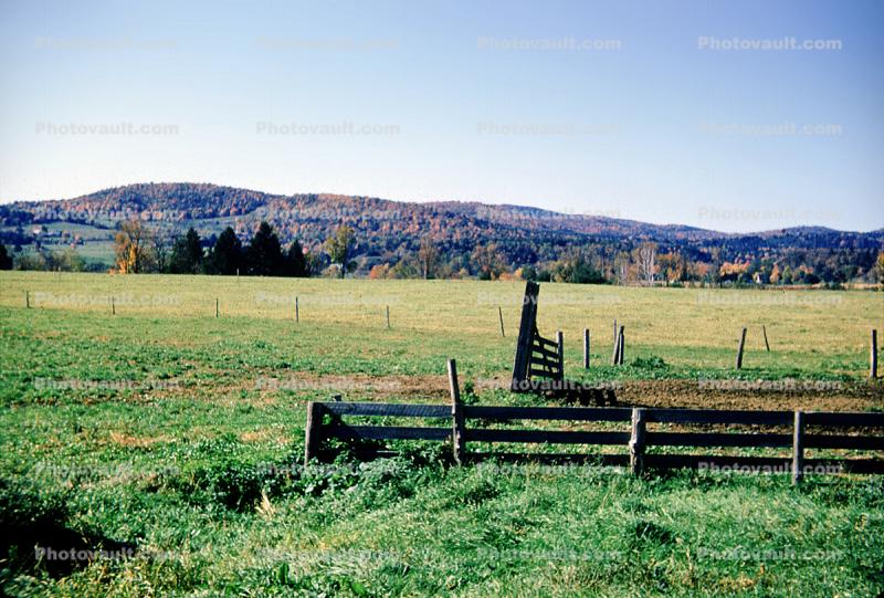 Fence, Field, Mountain, Fall Colors, Piermont, New Hampshire, autumn, 1951
