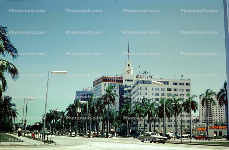 Hotel Biscayne, Everglades Hotel, Buildings, Palm Trees, cars, Miami Beach, August 1964, 1960s