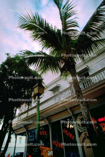 Palm Tree Building in Key West