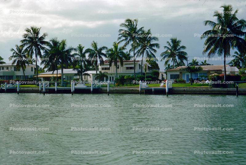 Ocean Front, Houses, Palm Trees, Water, 1950s