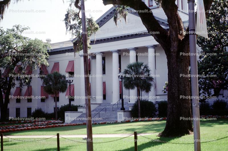 Government Building, Columns