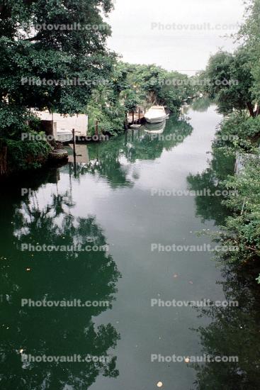 Bayou, Boats, Trees