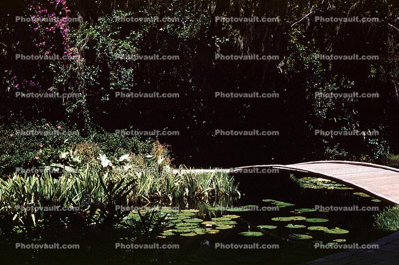 Cypress Gardens, pond, footbridge, lily pads, June 1959, 1950s