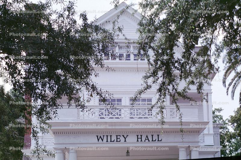 Wiley Hall, Home, House, building, residence