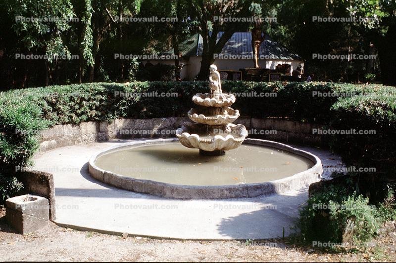Water Fountain, aquatics, Pond, gardens, Fountain of Youth, 31 May 2003