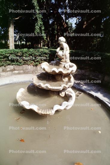 Muddy Water Fountain, aquatics, Pond, gardens, Fountain of Youth, 31 May 2003