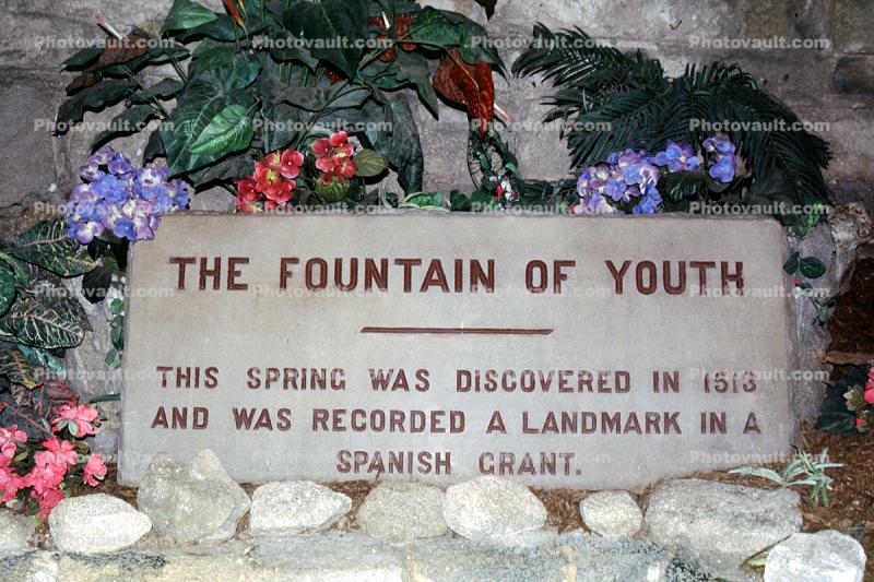 Fountain of Youth, 31 May 2003