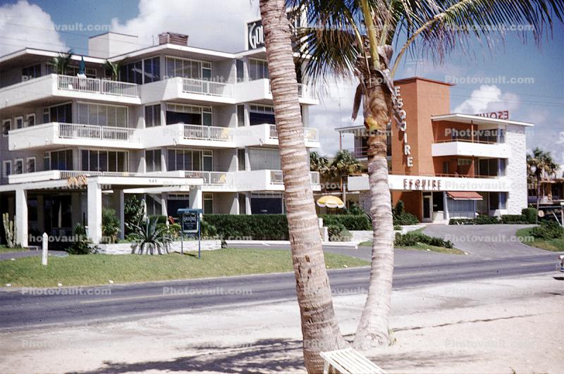 Esquire Hotel, Road, Tree, Building, South Beach