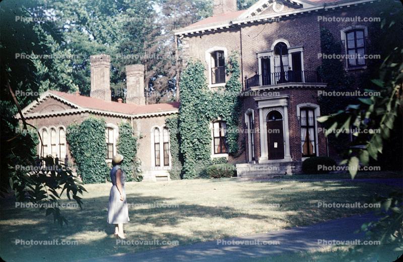 ivy, home, lawn, mansion, Building