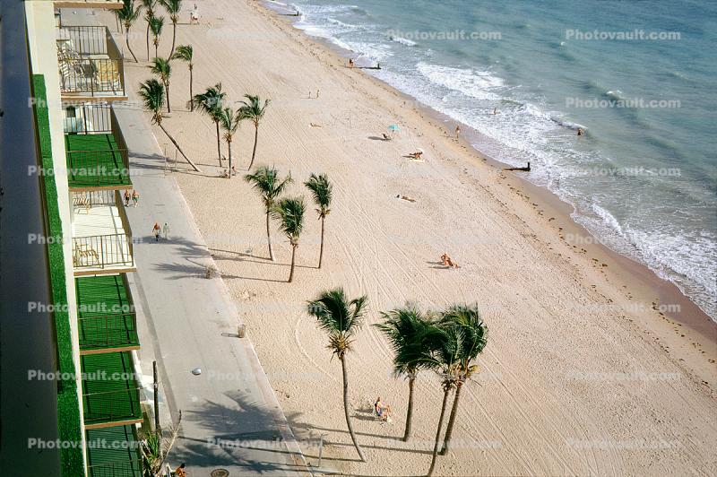 Palm Trees, Beach, Sand, Surf, Ocean, Boardwalk