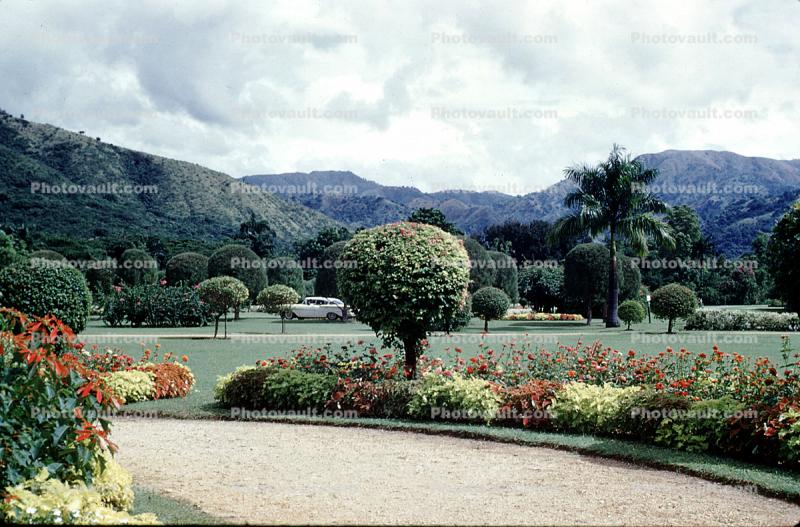 Hope Gardens, 1950s, Car, Automobile, Vehicle