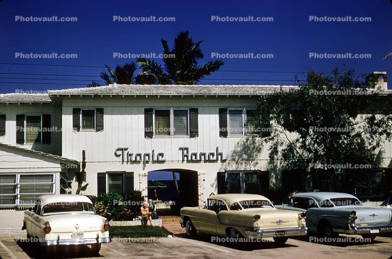 Parked Cars, Tropic Ranch Motel, Building, Florida, Automobile, Vehicle, 1950s