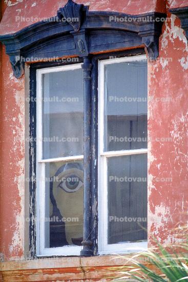 Window, glass, pane, frame, Savannah