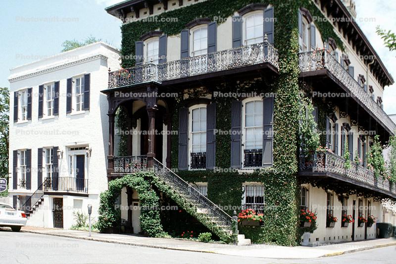 Home, House, corner building, stairs, ivy, Historic Savannah