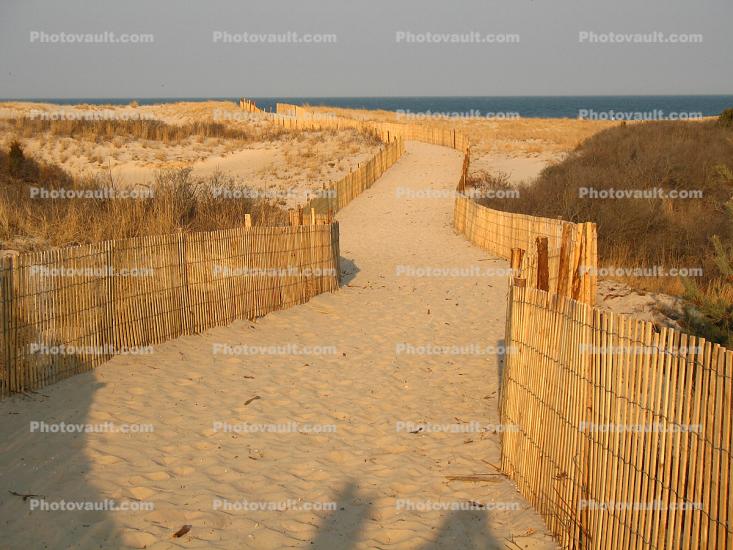 Walkway, Beach, Fence, Sand, Ocean, Henlopen State Park