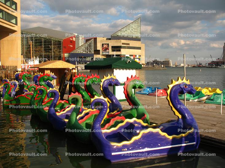 inner harbor, Baltimore Aquarium, building, landmark, dock, dragon boats, pier