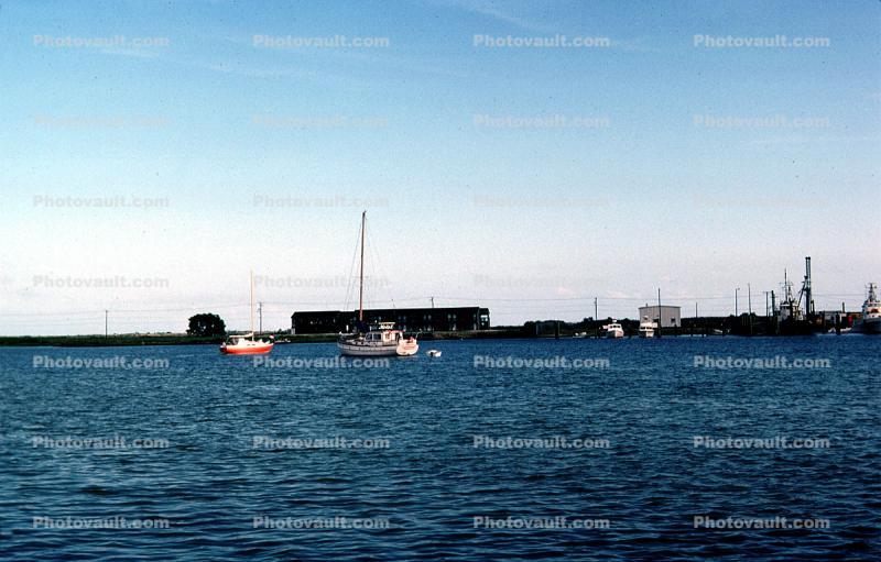 Boats, Harbor, Village, Crisfield