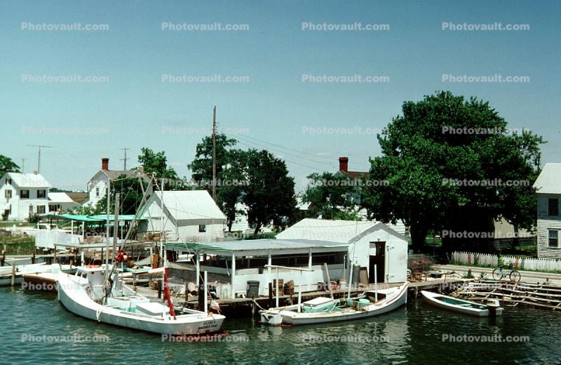 Docks, Harbor, Buildings, Boats, Smith Island, Homes, House