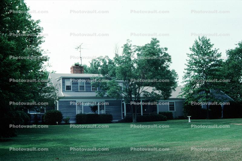 building, home, house, trees, lawn, yard