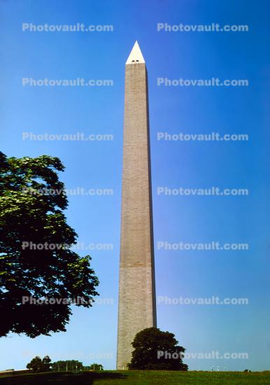 Washington Monument in Daylight