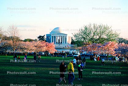 Jefferson Memorial, Cherry Blossom Trees