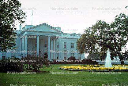 White House Water Fountain, lawn, garden, trees, flowers, Aquatics