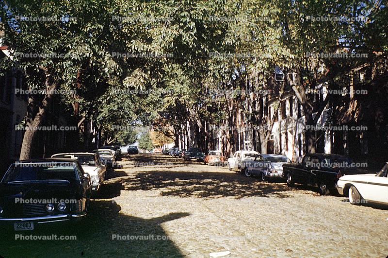 Trees, Street, buildings, cars, April 1964, 1960s