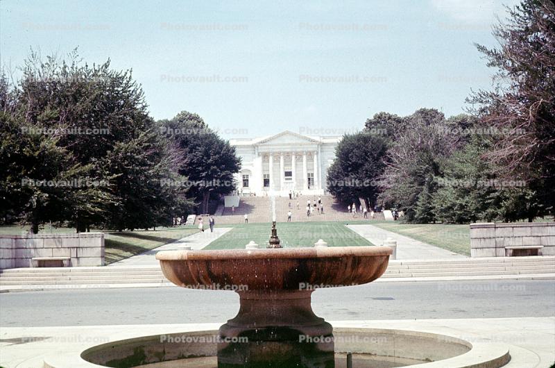 Water Fountain, aquatics, trees, street, July 1965, 1960s