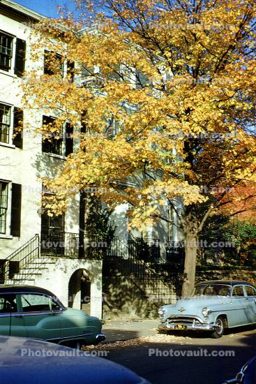 Fall Colors, tree, cars, autumn, Georgetown, 1956, 1950s