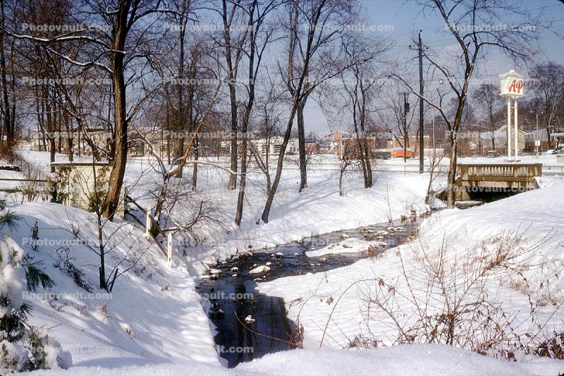 Stream in the Snow, Trees, Havertown, 1963, 1960s