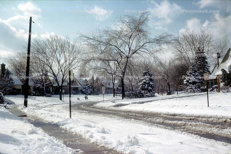 House and Trees in the Snow, Street, slush, cold, Havertown, 1963, 1960s