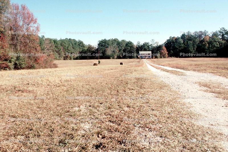 Parched Lawn, dirt road, house, home, unpaved