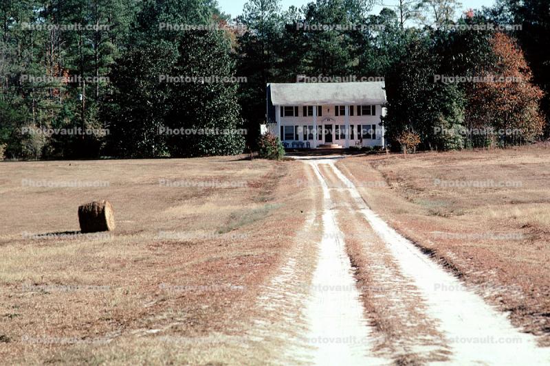 Parched Lawn, dirt road, house, home, unpaved