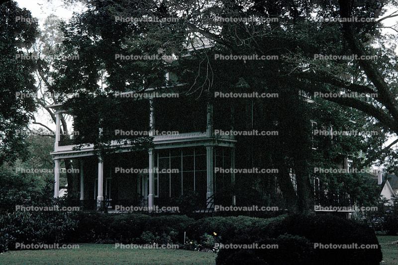 Wessington house, Mansion, Trees, Edenton, North Carolina