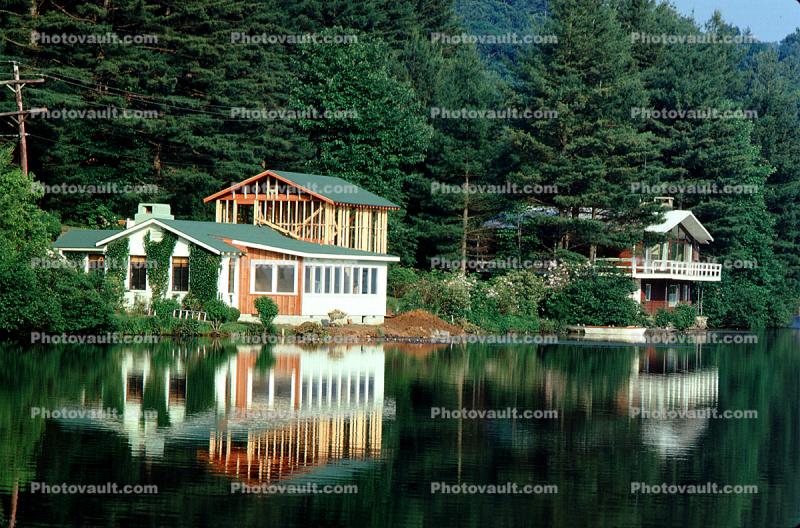 reflection, lake, evergreen trees, pine, lakefront
