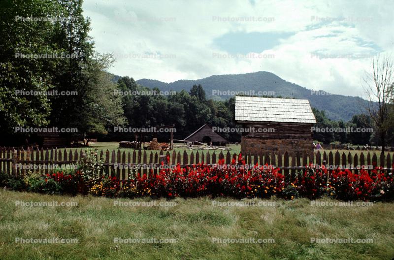 Fence with Flowers, field, building, moutain