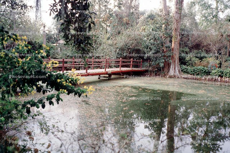 Magnolia Plantation, Charleston, Thomas Drayton