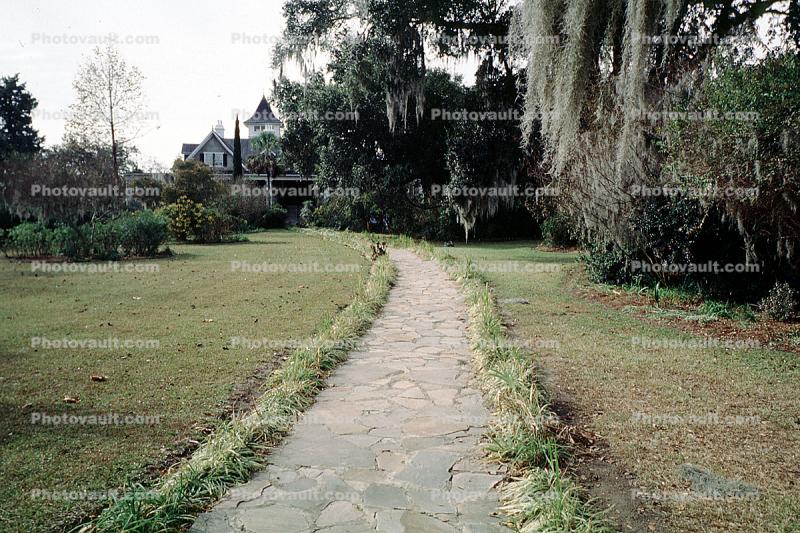 Magnolia Plantation, Charleston, Thomas Drayton