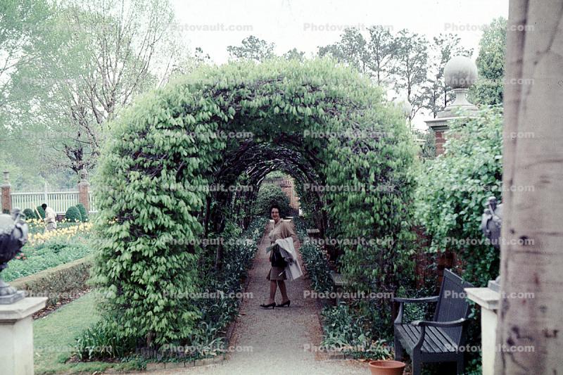 Ivy Covered Atrium, path, walkway, tunnel, bushes, Williamsburg