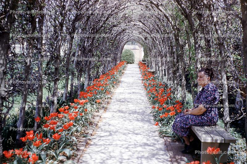 Garden, Path, 1950s