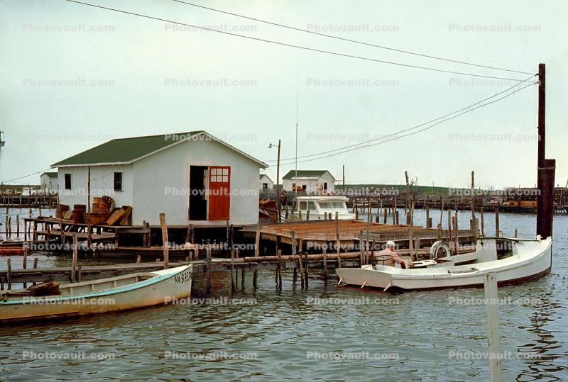 Crabbing Boats, Docks, Tangiers Island Harbor, July 1974, 1970s